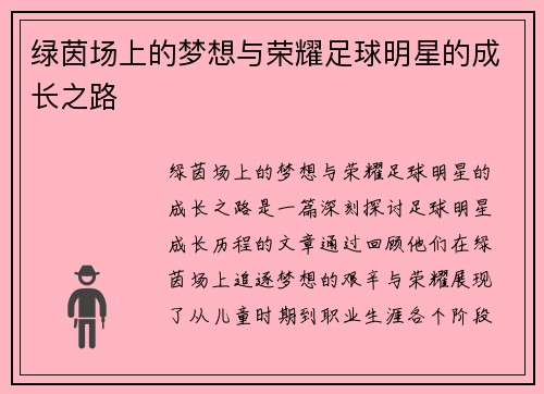 绿茵场上的梦想与荣耀足球明星的成长之路