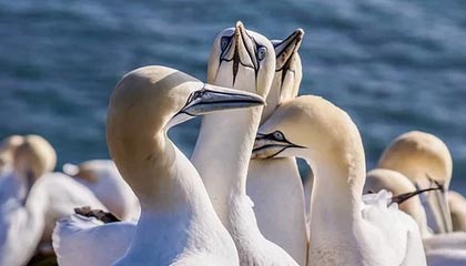 江南体育APP-U23国足剑指亚洲冠军